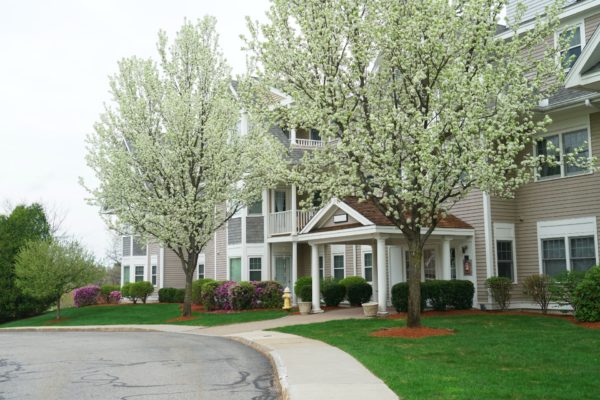 Charlotte Landscaping Services | Wise Cut Landscaping