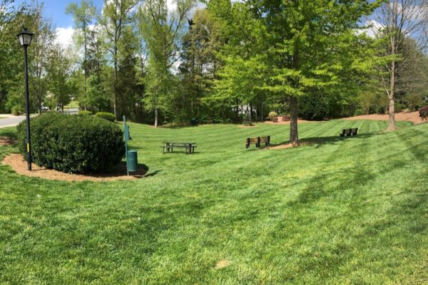 Charlotte Landscaping Services | Wise Cut Landscaping