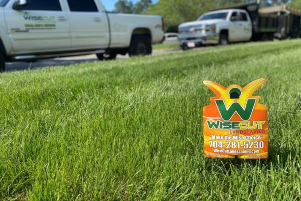 Charlotte Landscaping Services | Wise Cut Landscaping