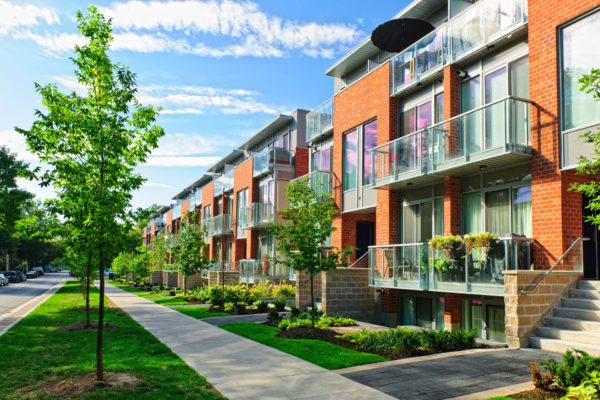 Charlotte Landscaping Services | Wise Cut Landscaping