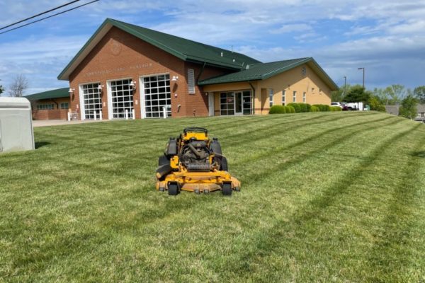 Charlotte Landscaping Services | Wise Cut Landscaping