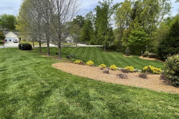 Charlotte Landscaping Services | Wise Cut Landscaping