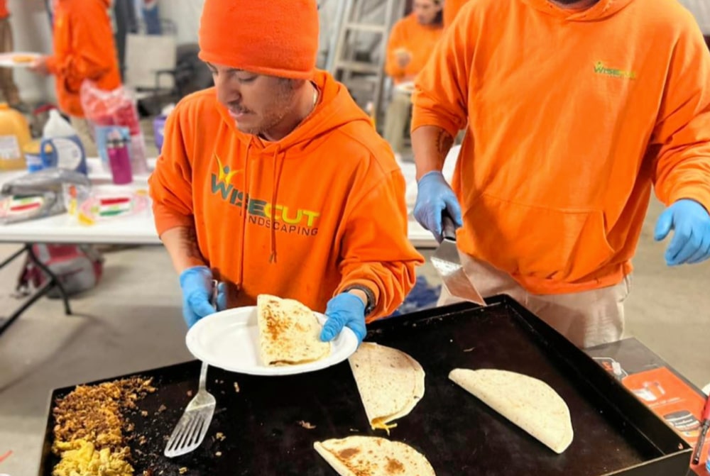 Charlotte Landscaping Services | Wise Cut Landscaping